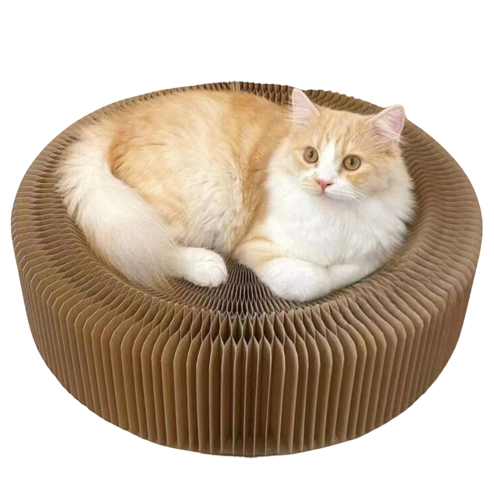 Fatty™ Cat Scratcher Bed