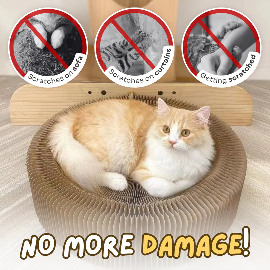 Fatty™ Cat Scratcher Bed