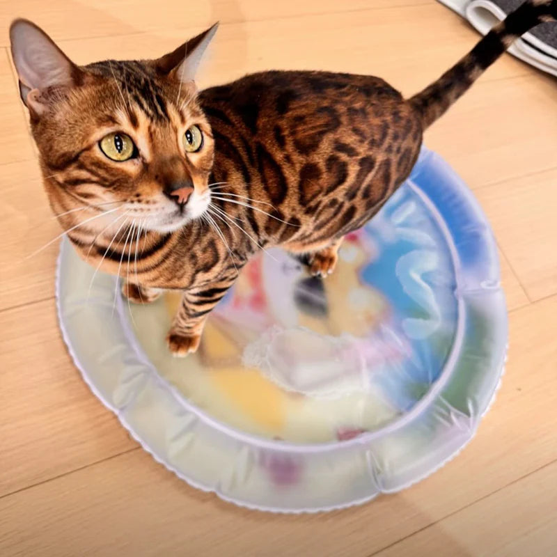 Fatty™ Cat Water Bed 2.0