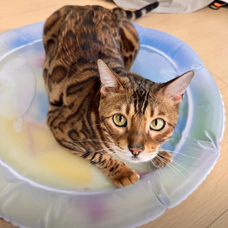 Fatty™ Cat Water Bed 2.0