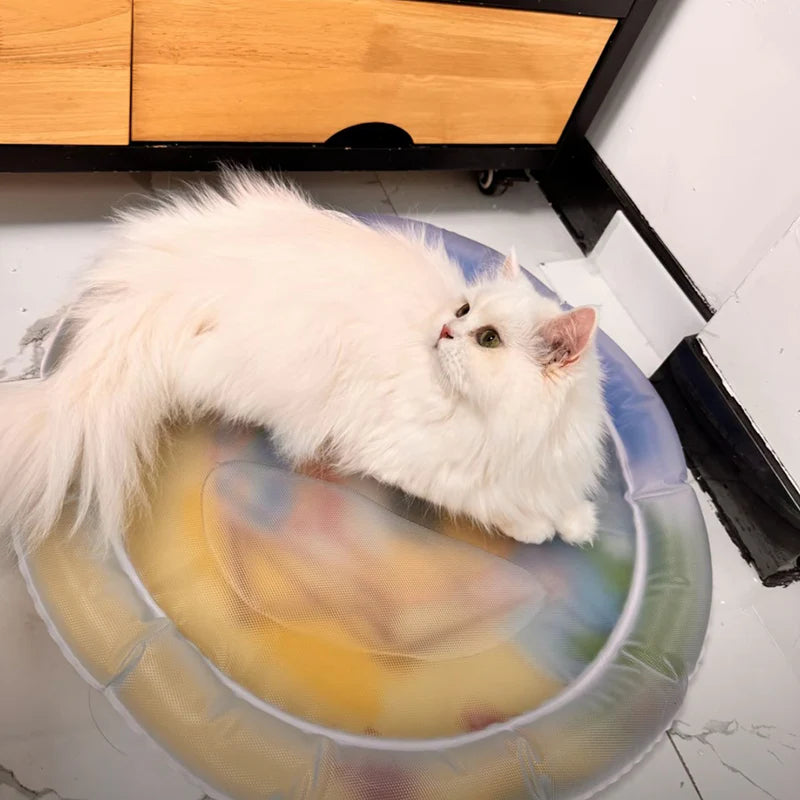 Fatty™ Cat Water Bed 2.0