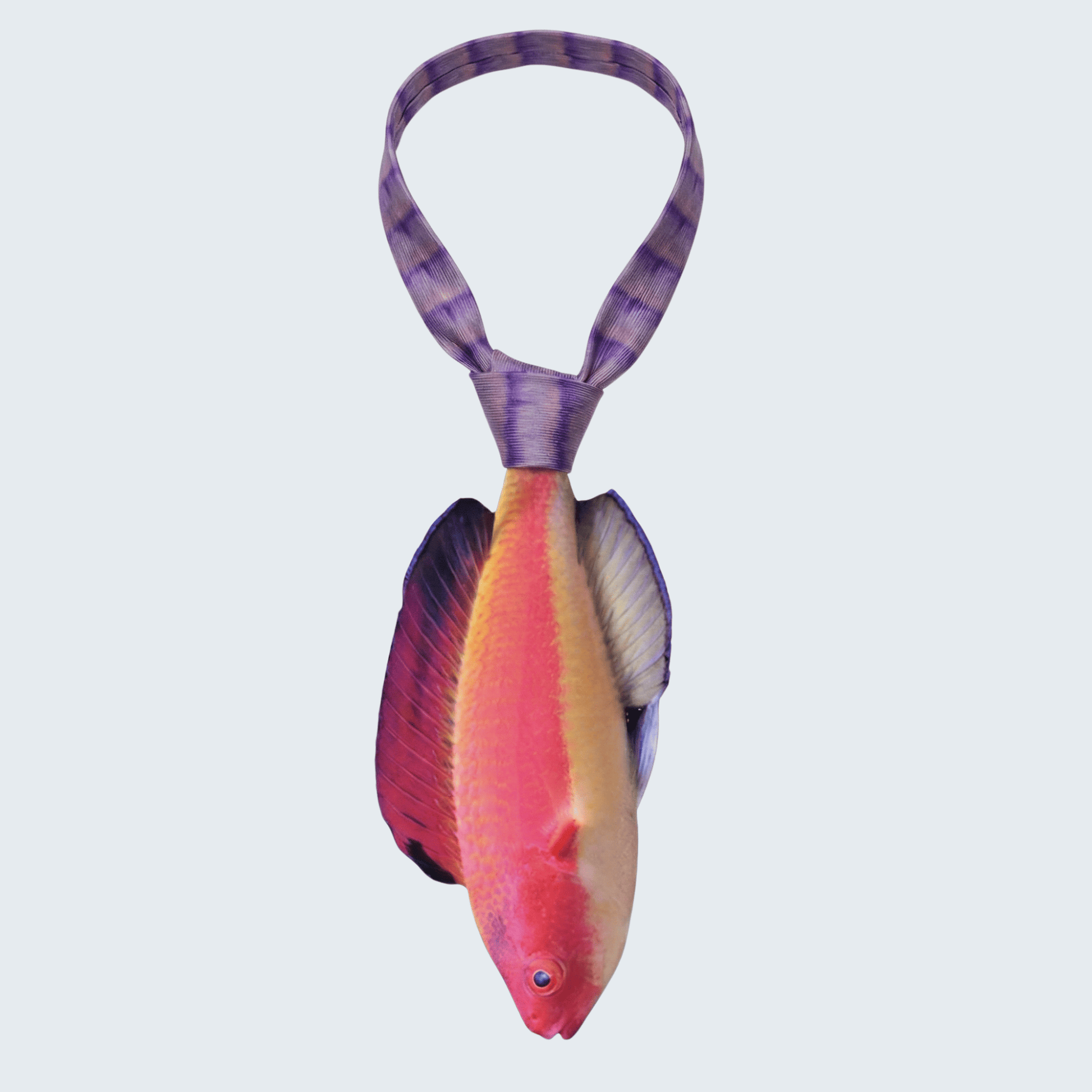 WonderKnot© Hooded Flame Fairy Wrasse Tie