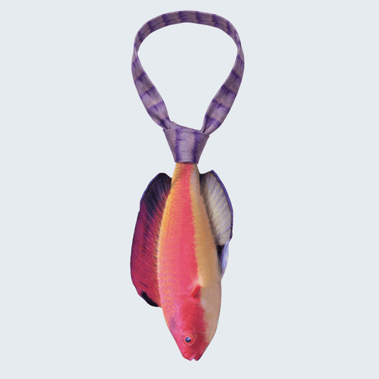 WonderKnot© Hooded Flame Fairy Wrasse Tie