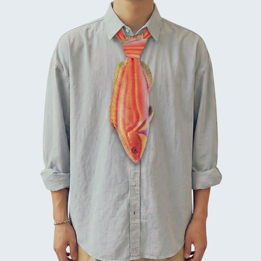 WonderKnot© Laboute's Fairy Wrasse