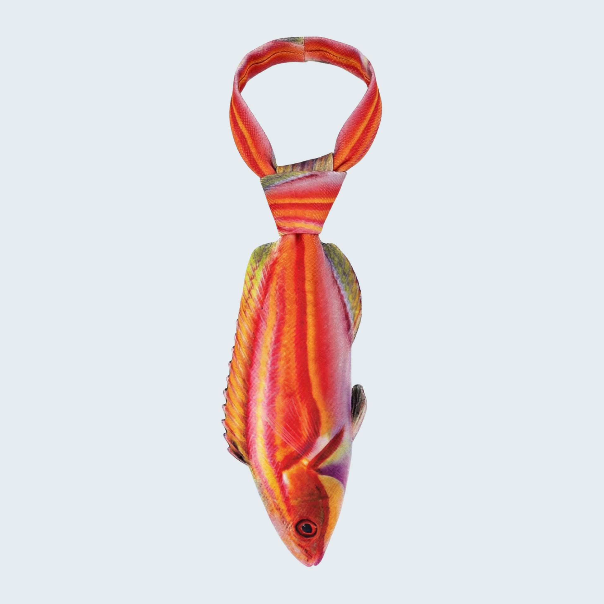 WonderKnot© Laboute's Fairy Wrasse Tie