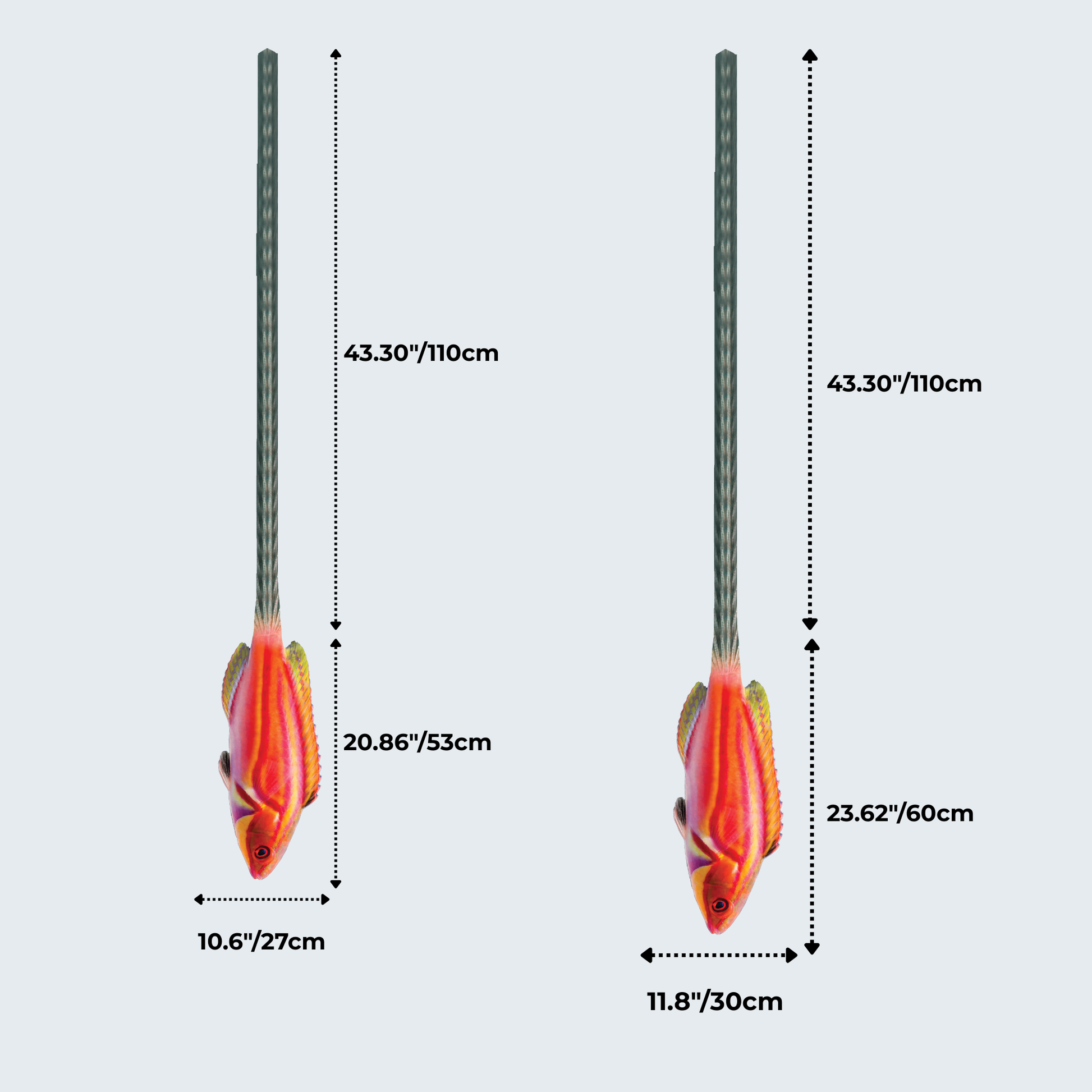 WonderKnot© Laboute's Fairy Wrasse