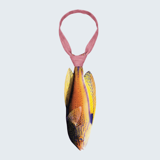 WonderKnot© Lineatus Fairy Wrasse Tie