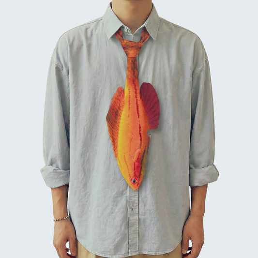 WonderKnot© McCosker's Flasher Wrasse