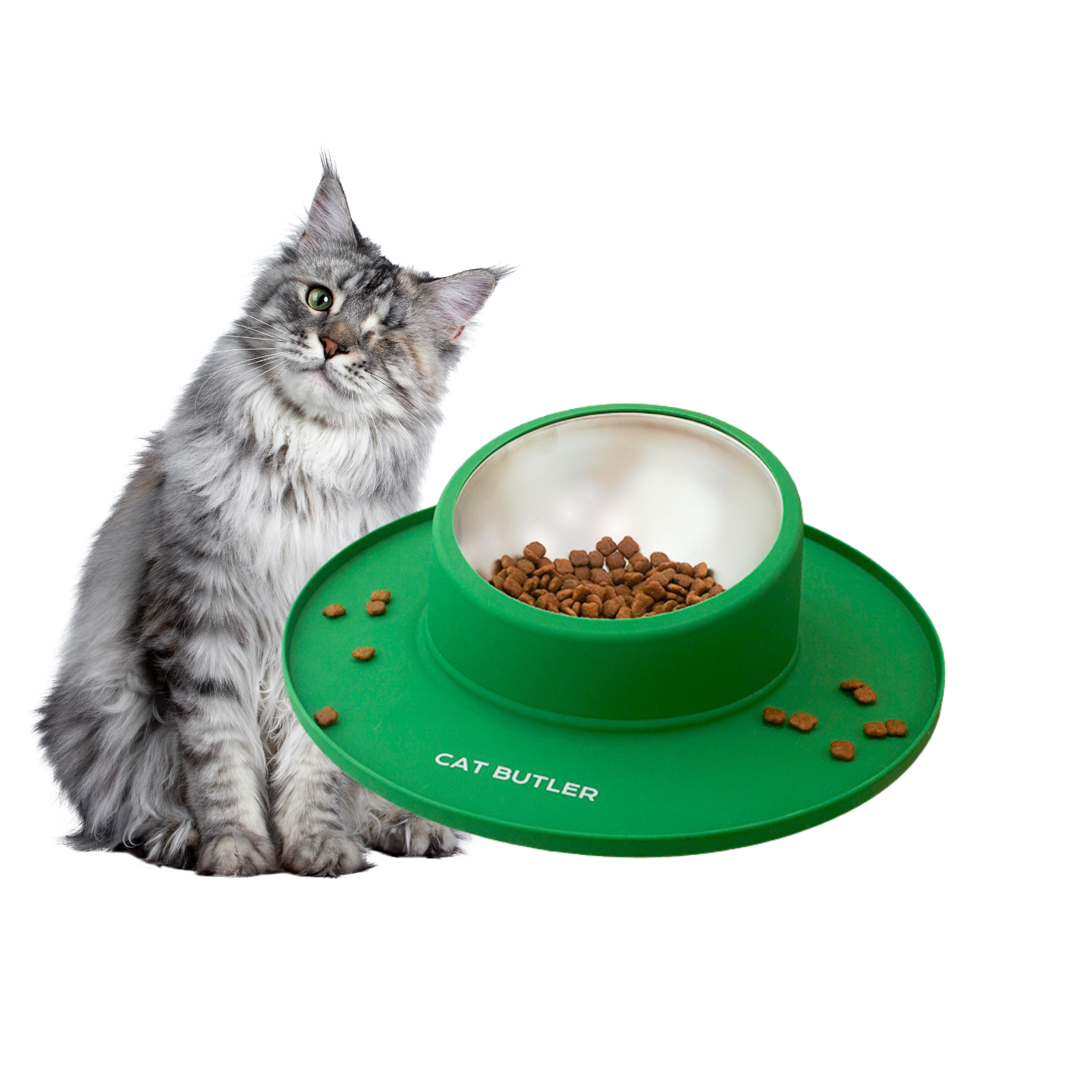 Fatty™ Cat Butler Bowl