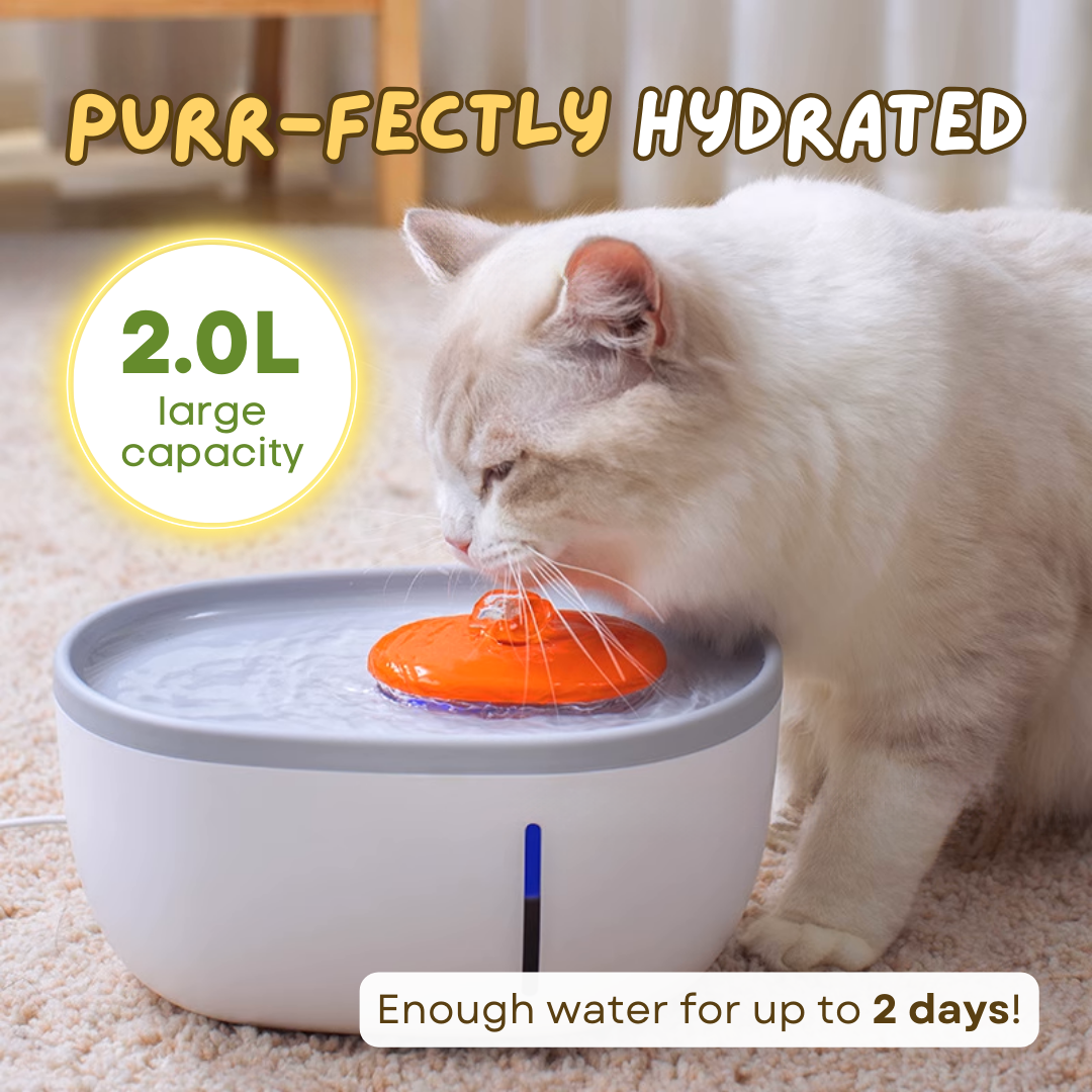 Fatty™ Avocado Water Fountain