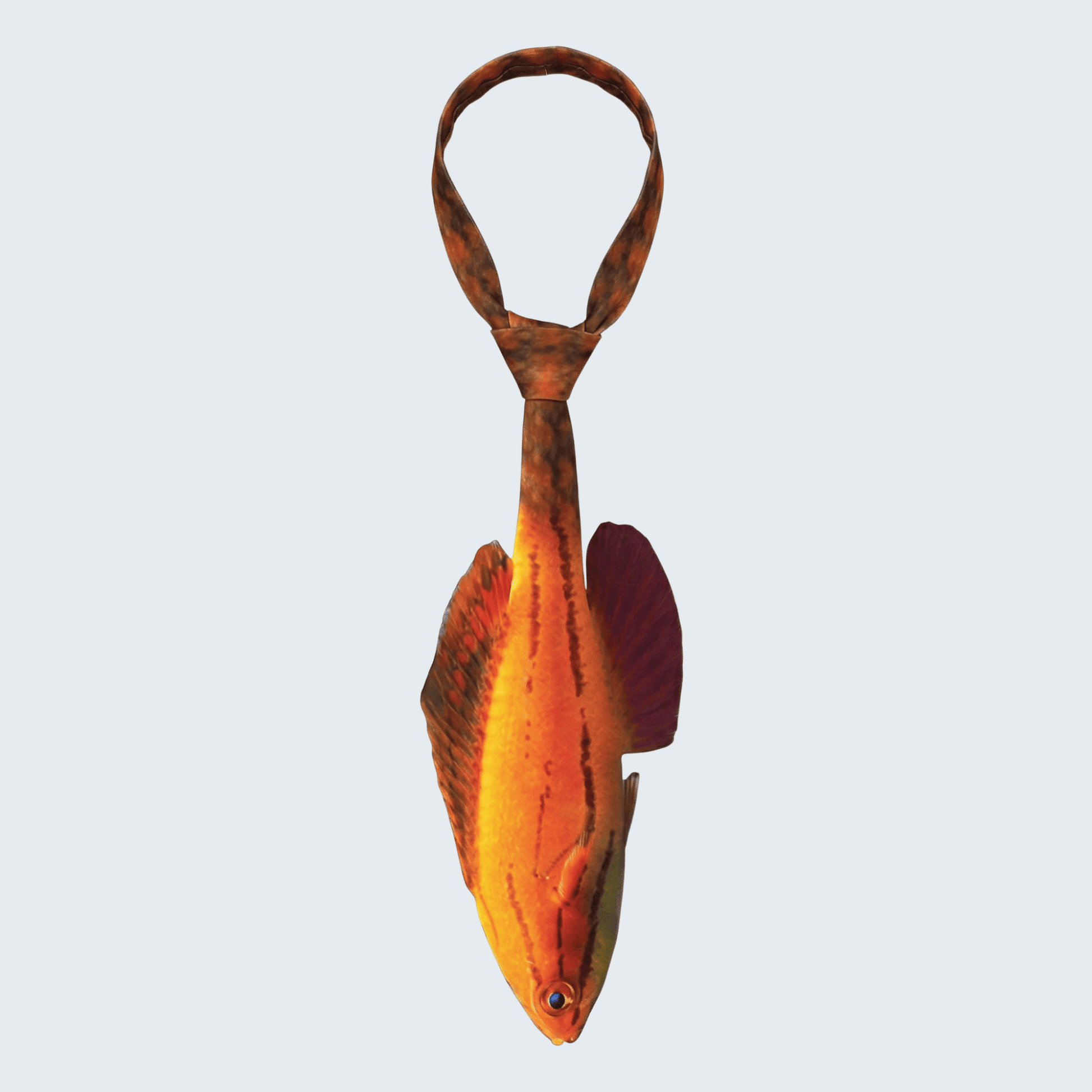 WonderKnot© McCosker's Flasher Wrasse Tie
