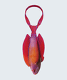 WonderKnot© Red Sea Eightline Flasher Wrasse Tie