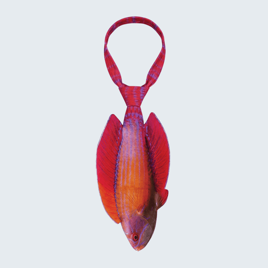 WonderKnot© Red Sea Eightline Flasher Wrasse Tie