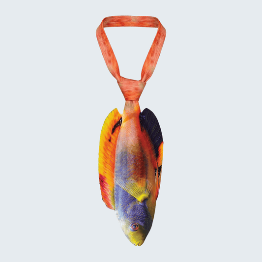 WonderKnot© Scott's Fairy Wrasse Tie
