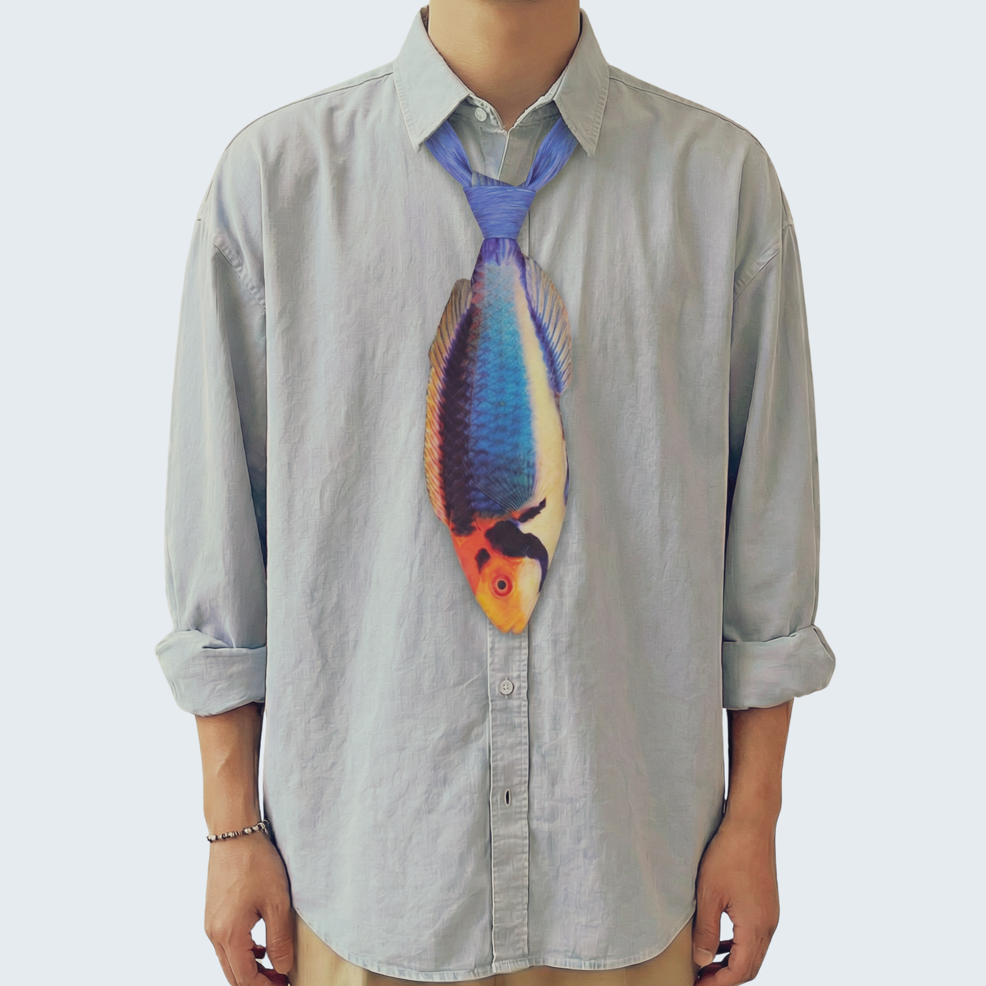 WonderKnot© Solar Fairy Wrasse