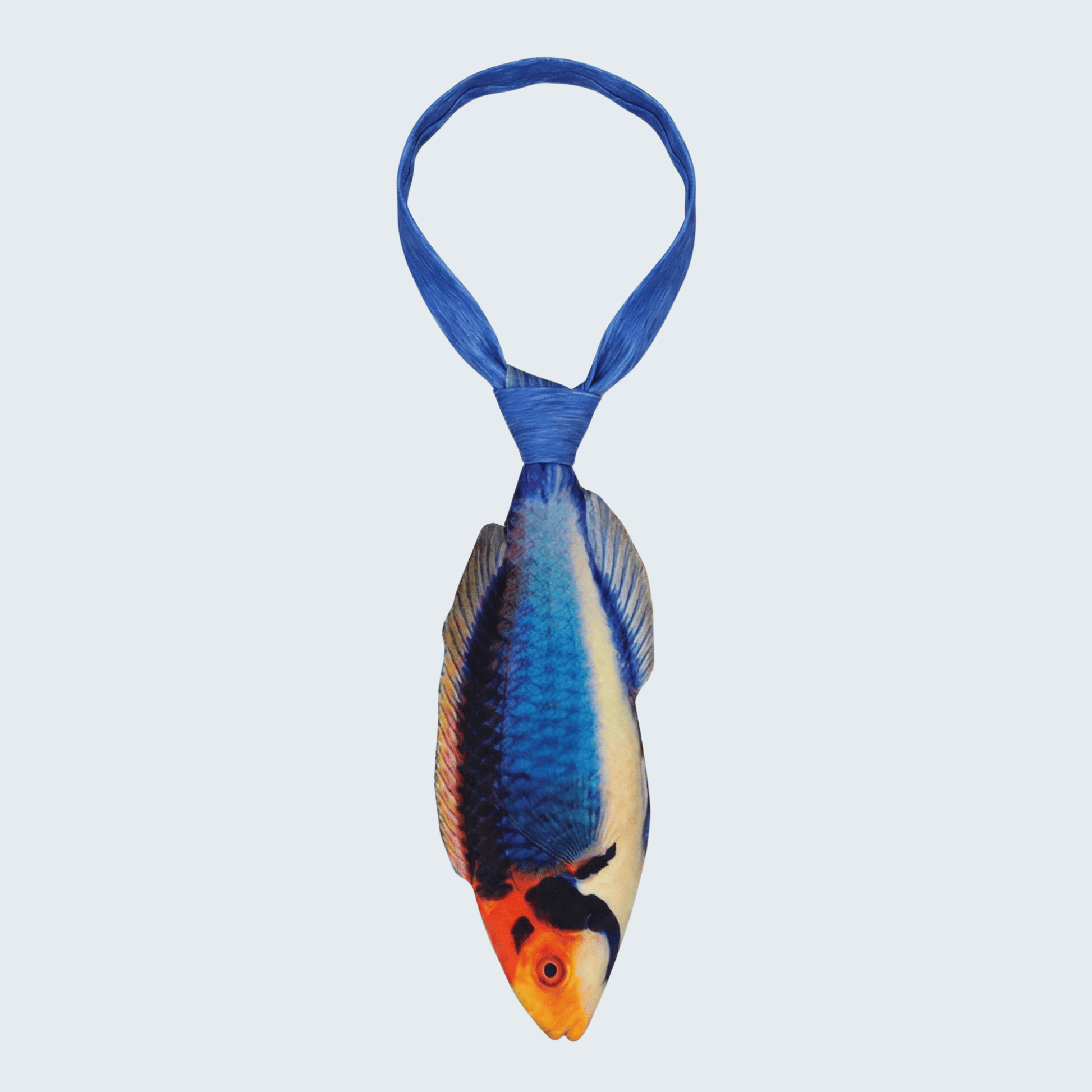 WonderKnot© Solar Fairy Wrasse Tie
