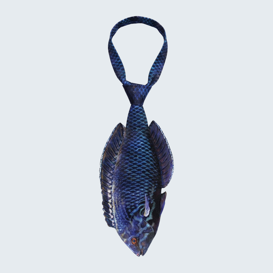 WonderKnot© Black Leopard Wrasse