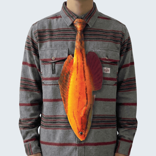 WonderKnot© McCosker's Flasher Wrasse Tie