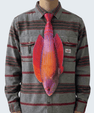 WonderKnot© Red Sea Eightline Flasher Wrasse Tie