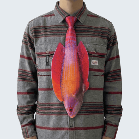 WonderKnot© Red Sea Eightline Flasher Wrasse Tie