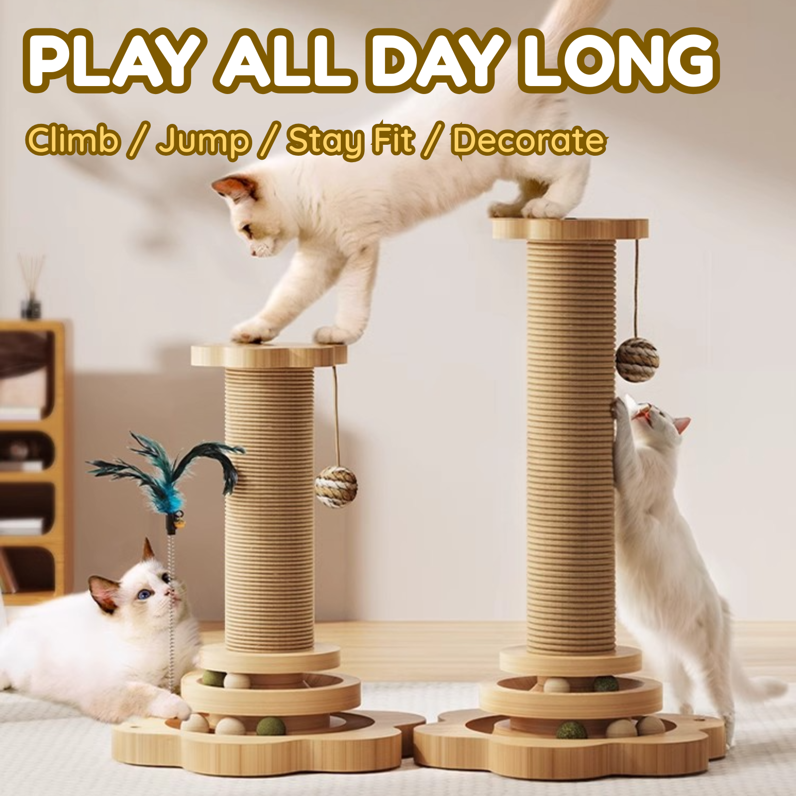 Fatty™ Cat Whirl Post