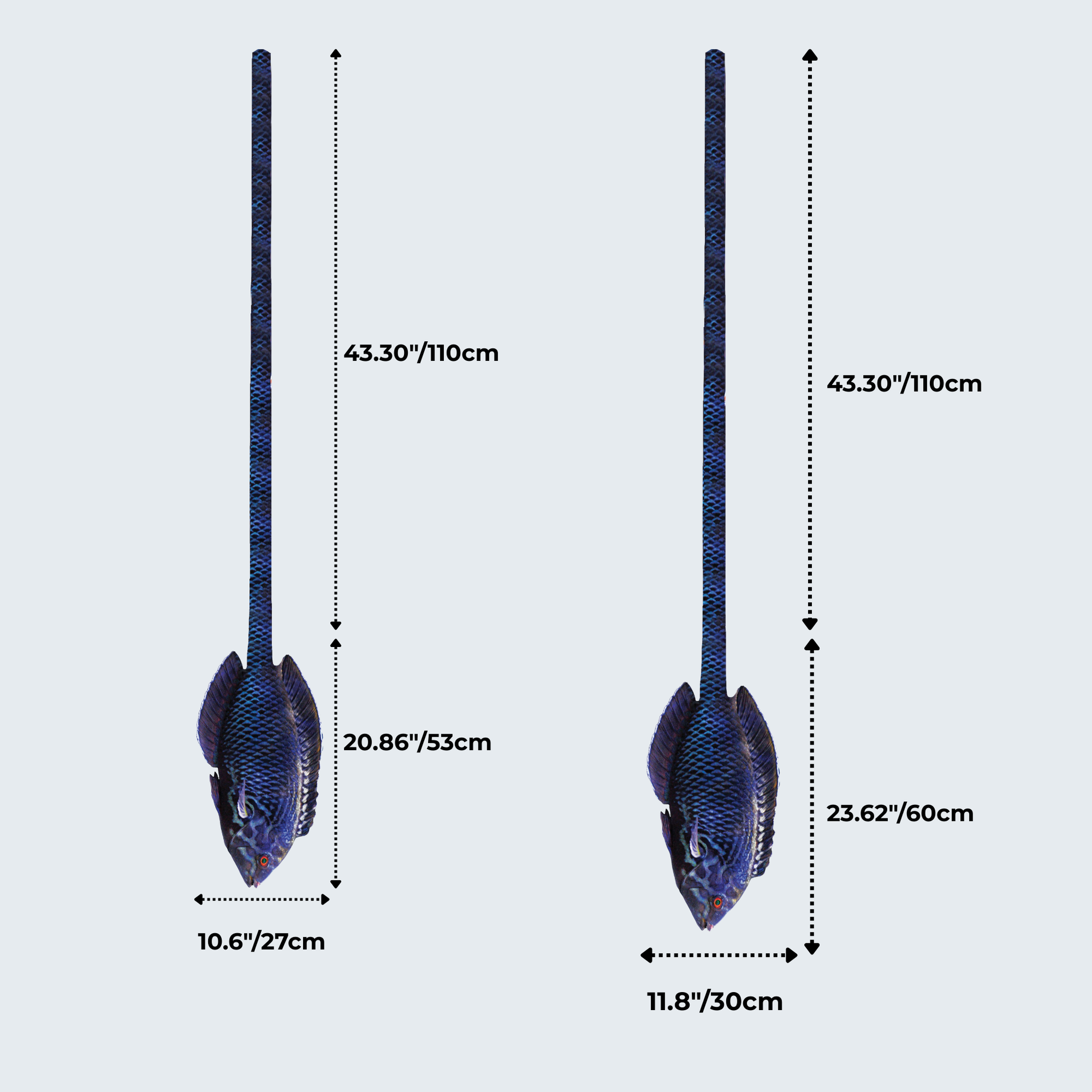 WonderKnot© Black Leopard Wrasse