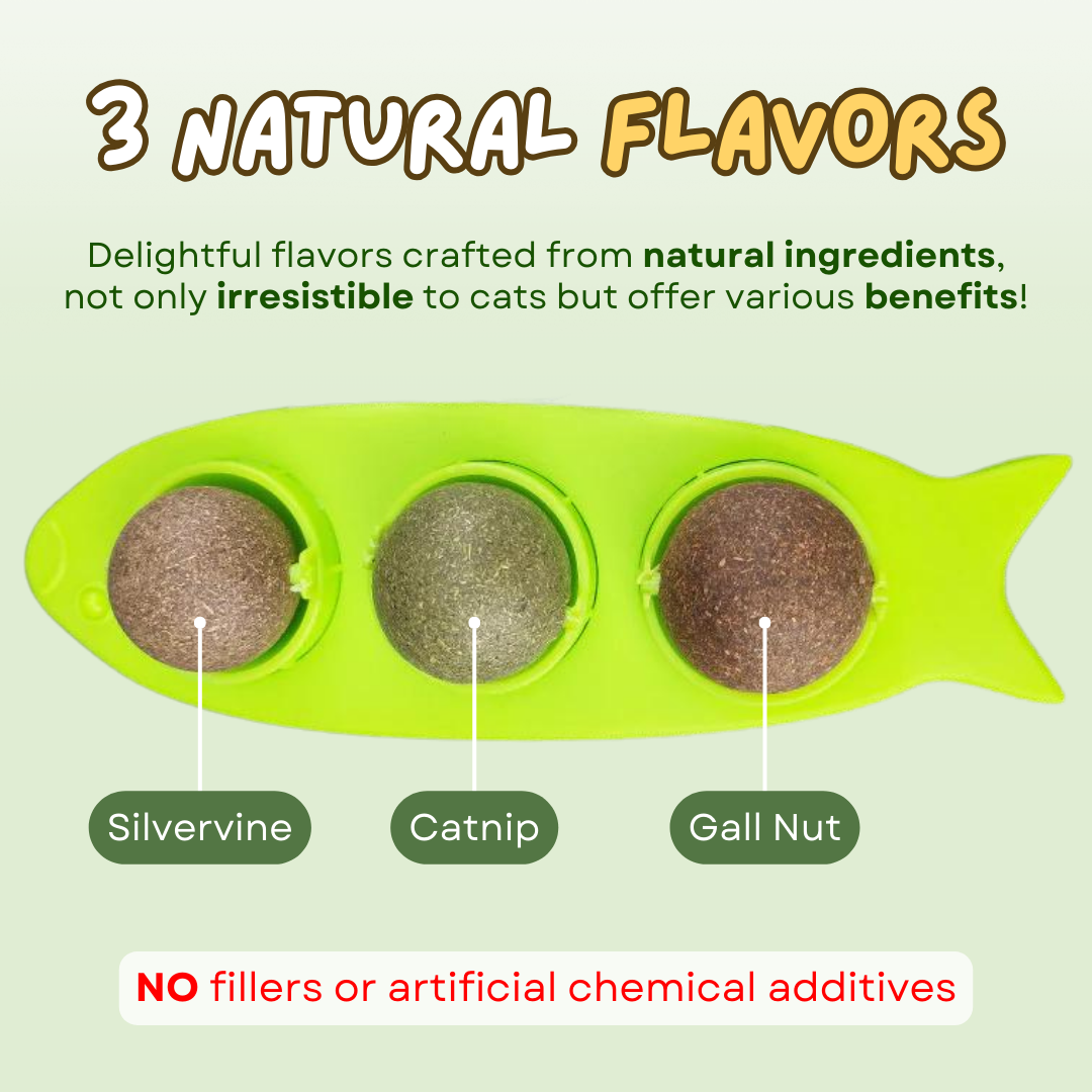 Fatty™ Stick-on Catnip Station