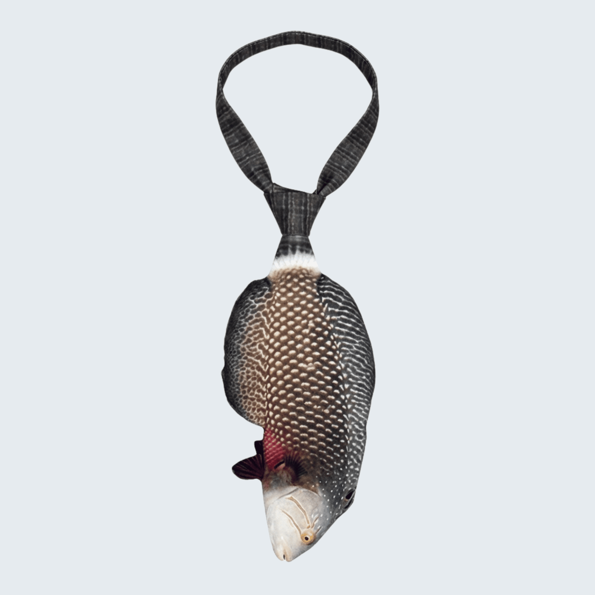 WonderKnot© Dragon Wrasse Tie