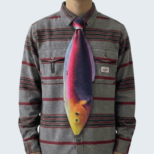 WonderKnot© Radiant Wrasse
