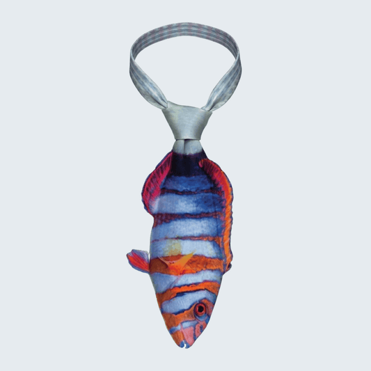 WonderKnot© Harlequin Tuskfish