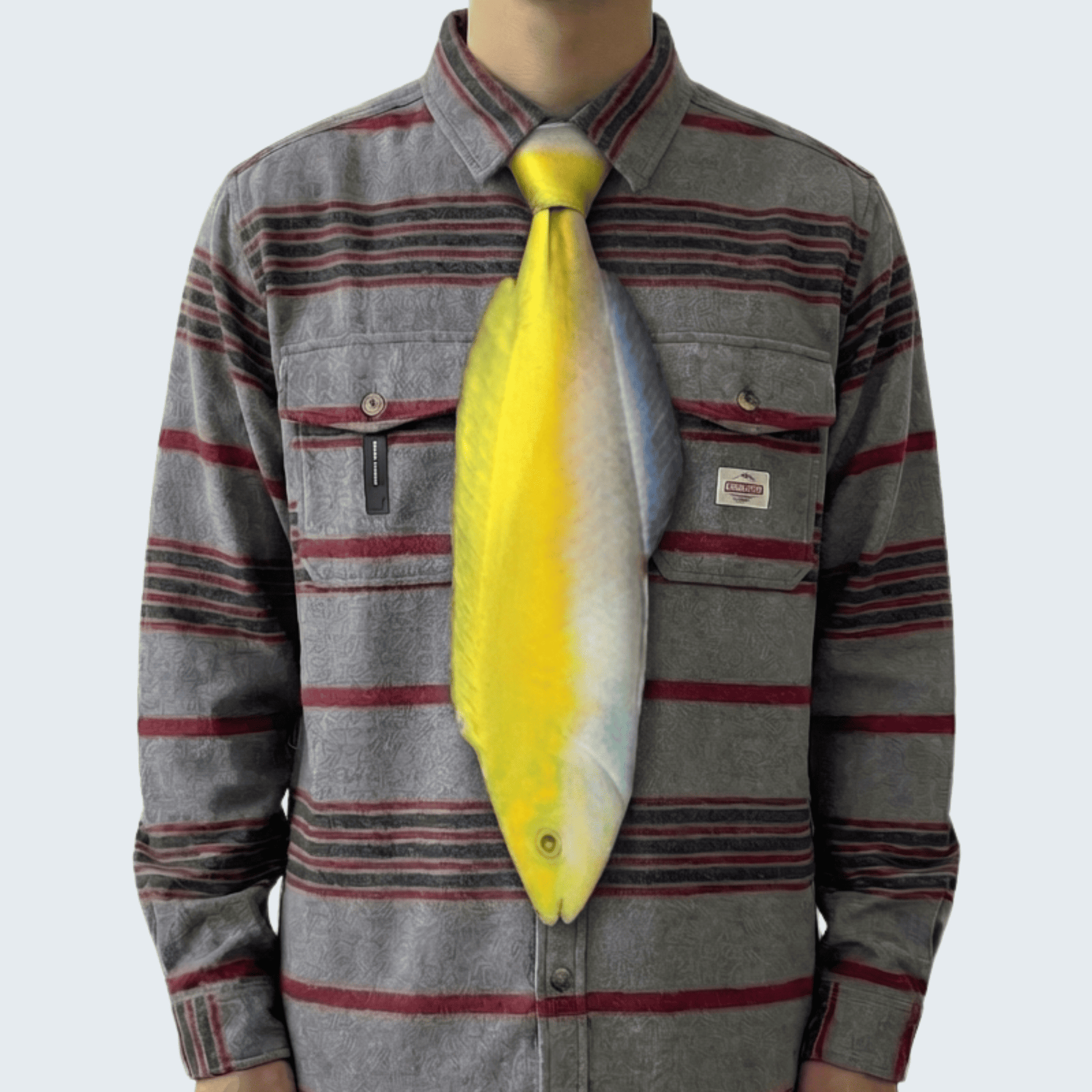 WonderKnot© Yellow Coris Wrasse