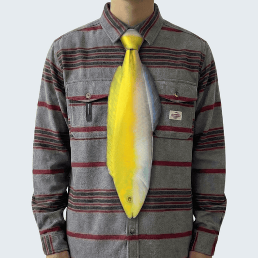 WonderKnot© Yellow Coris Wrasse
