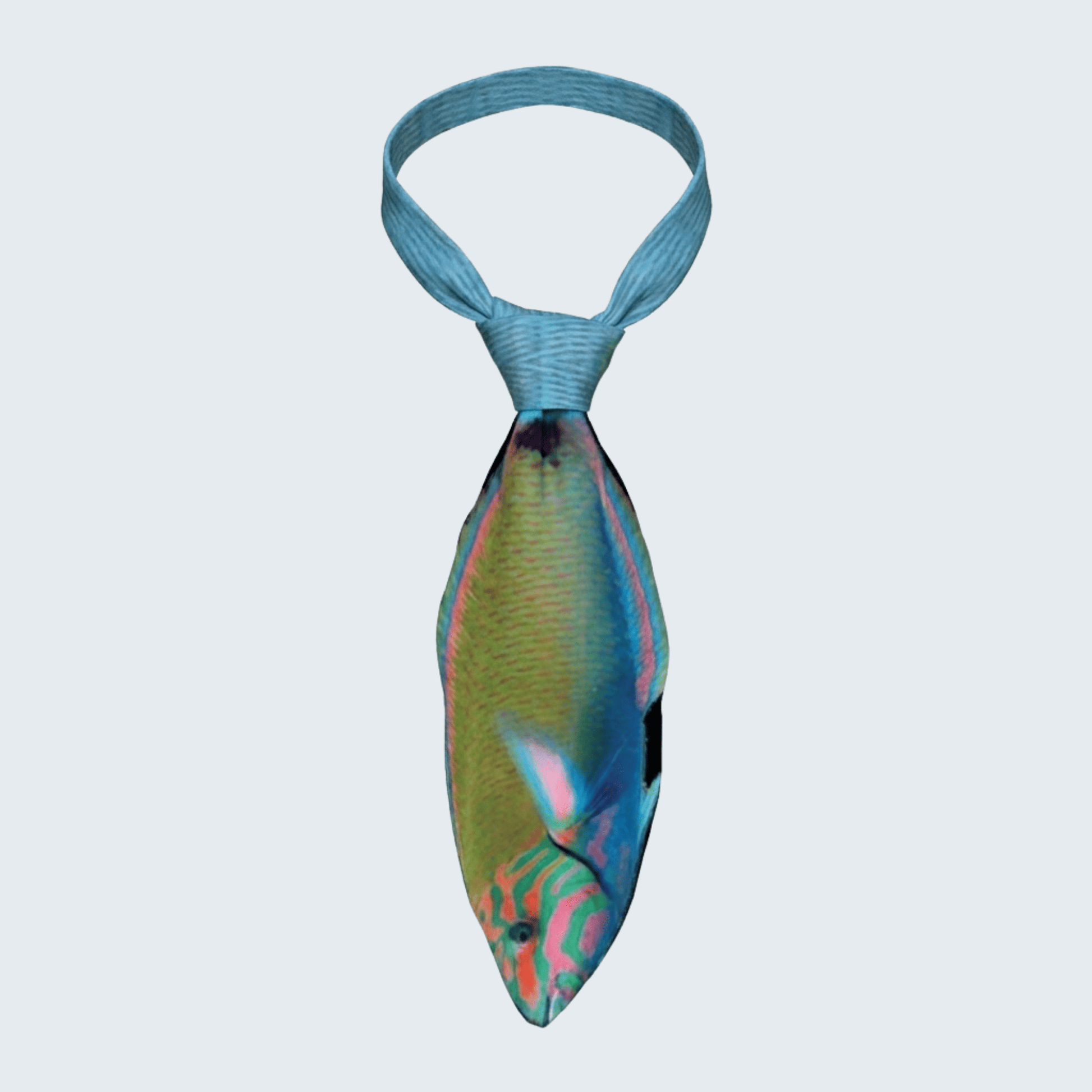 WonderKnot© Lunar Wrasse Tie