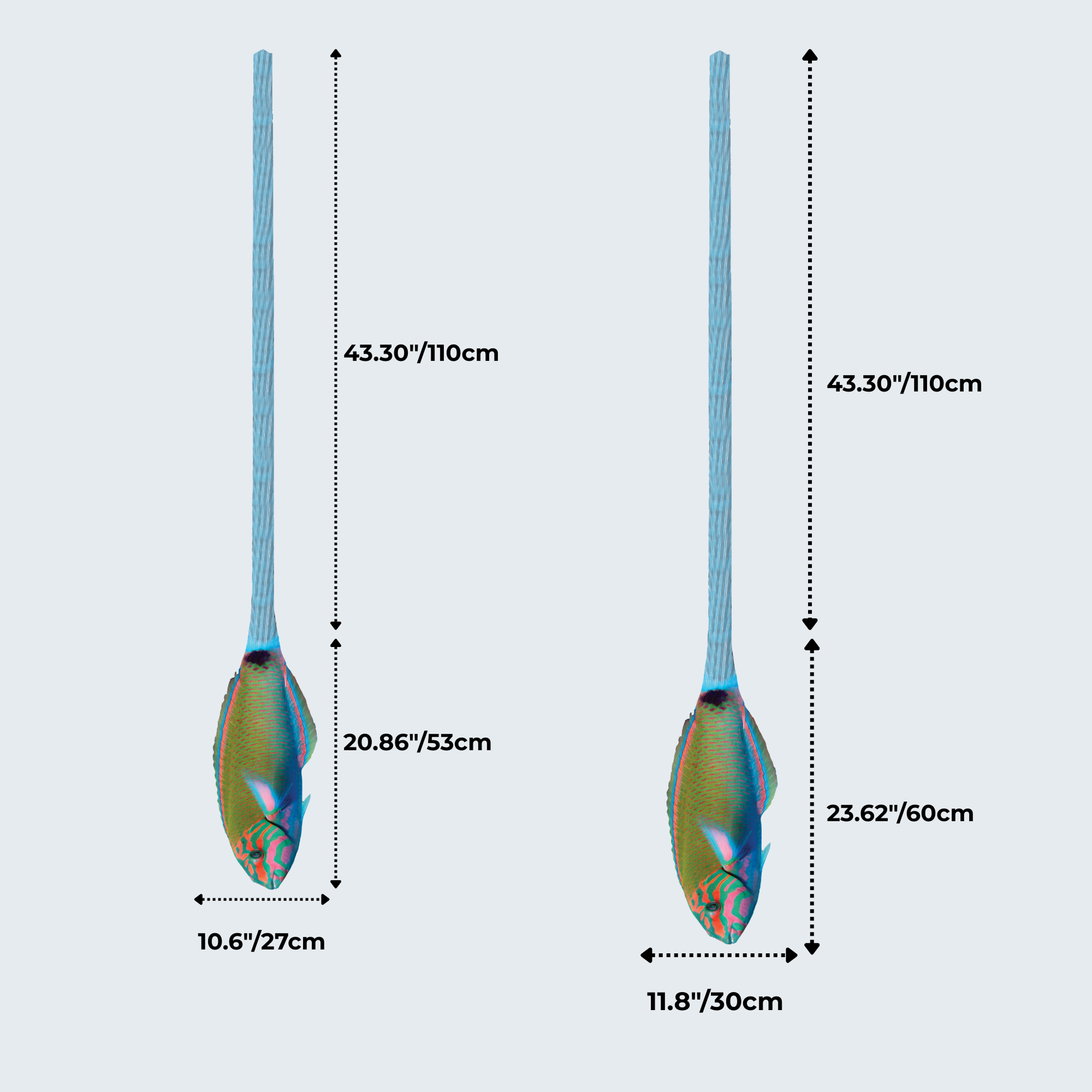 WonderKnot© Lunar Wrasse