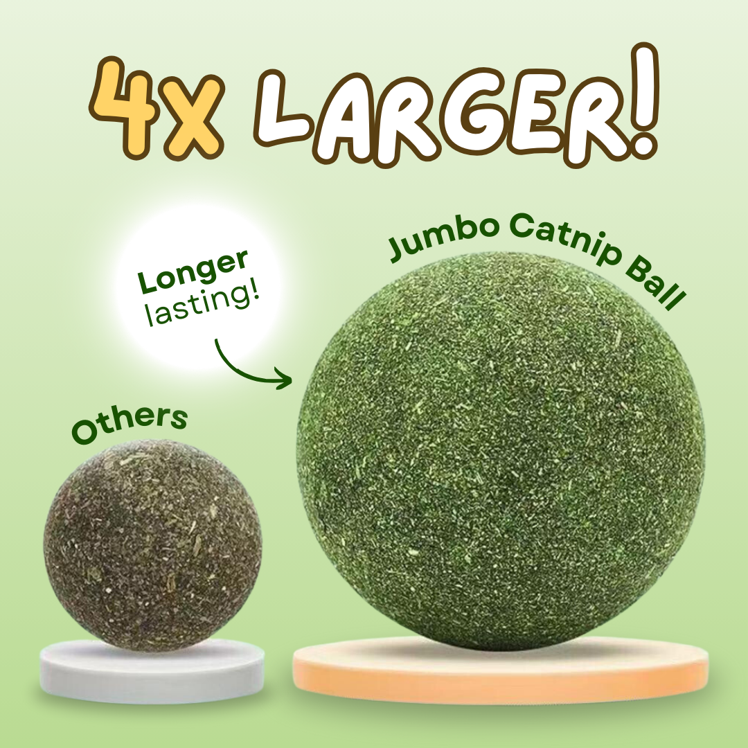 Fatty™ Jumbo Catnip Ball