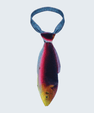 WonderKnot© Radiant Wrasse