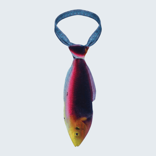 WonderKnot© Radiant Wrasse