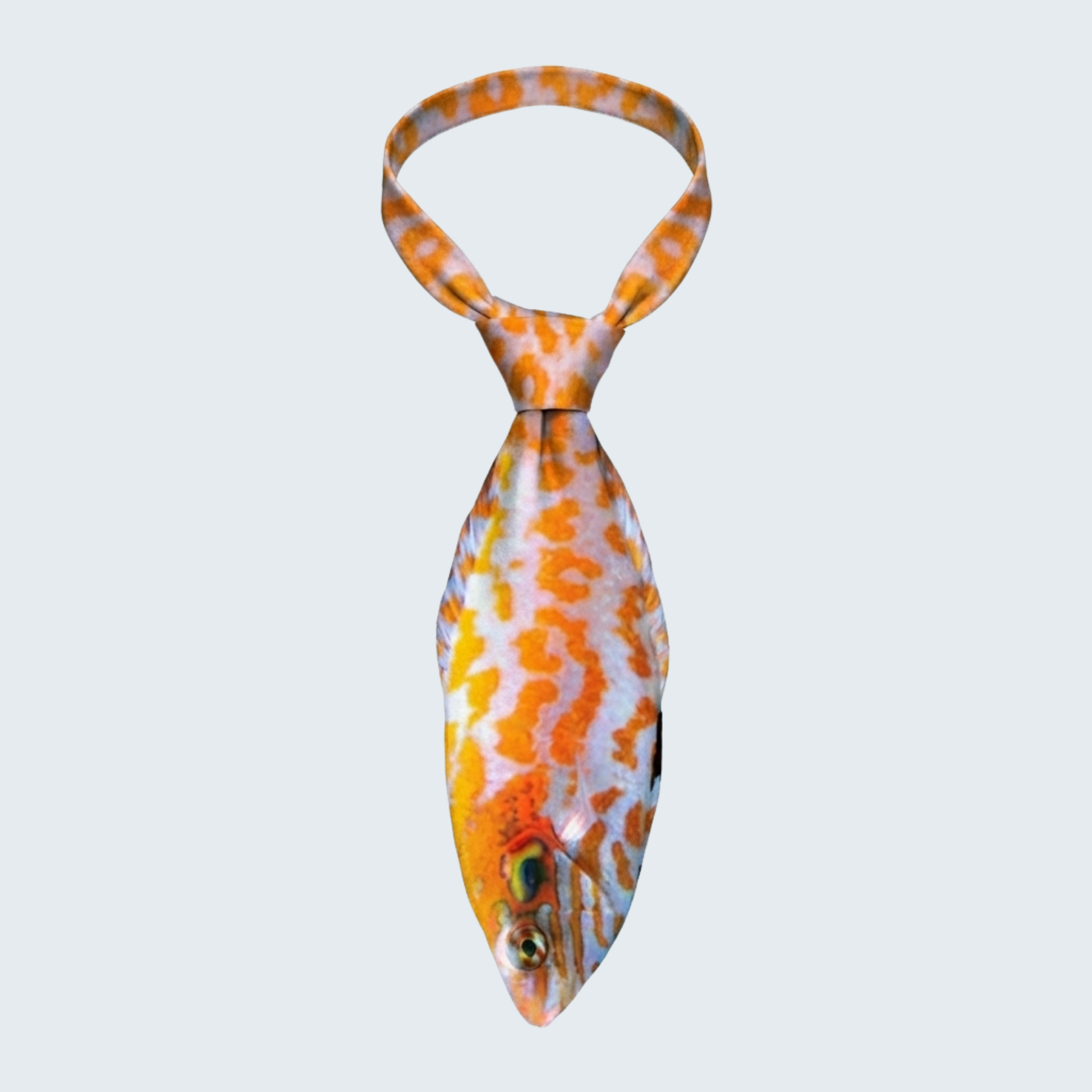WonderKnot© Red Leopard Wrasse