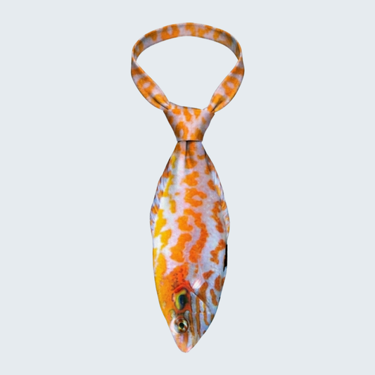WonderKnot© Red Leopard Wrasse