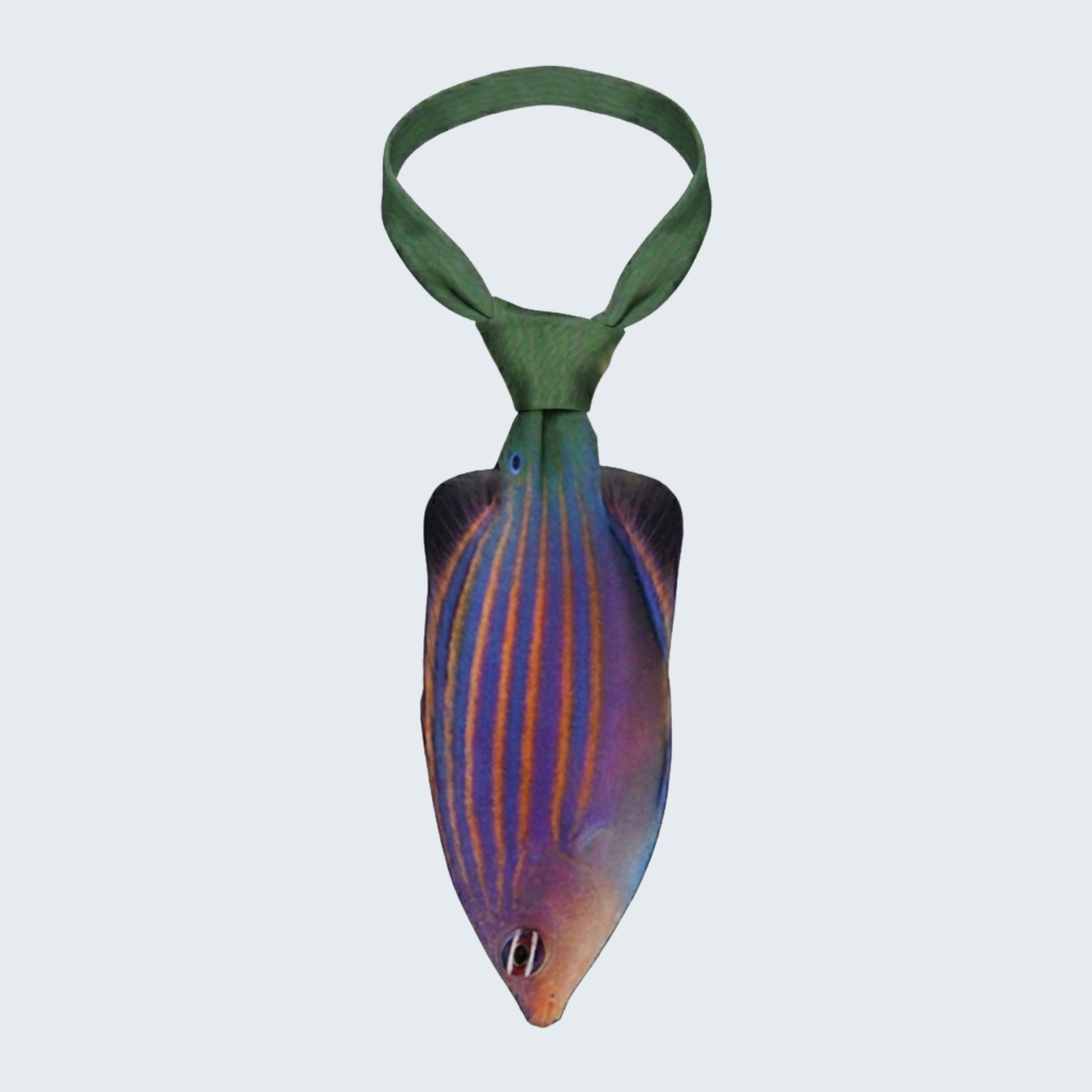 WonderKnot© Six Line Wrasse