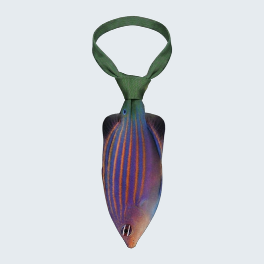 WonderKnot© Six Line Wrasse