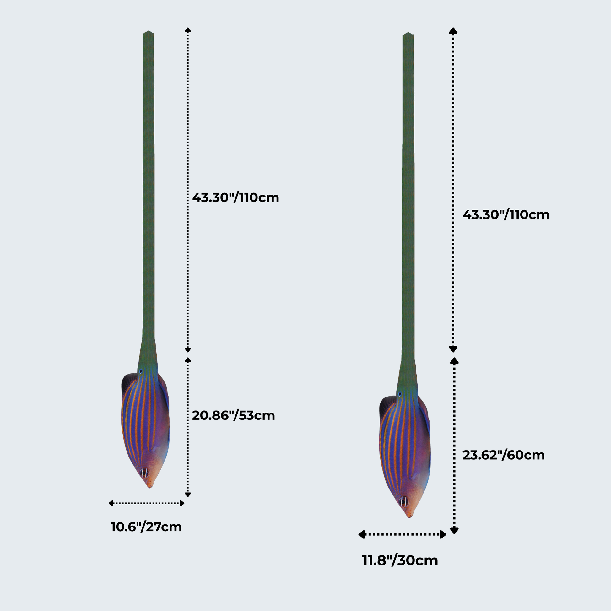 WonderKnot© Six Line Wrasse