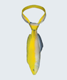 WonderKnot© Yellow Coris Wrasse