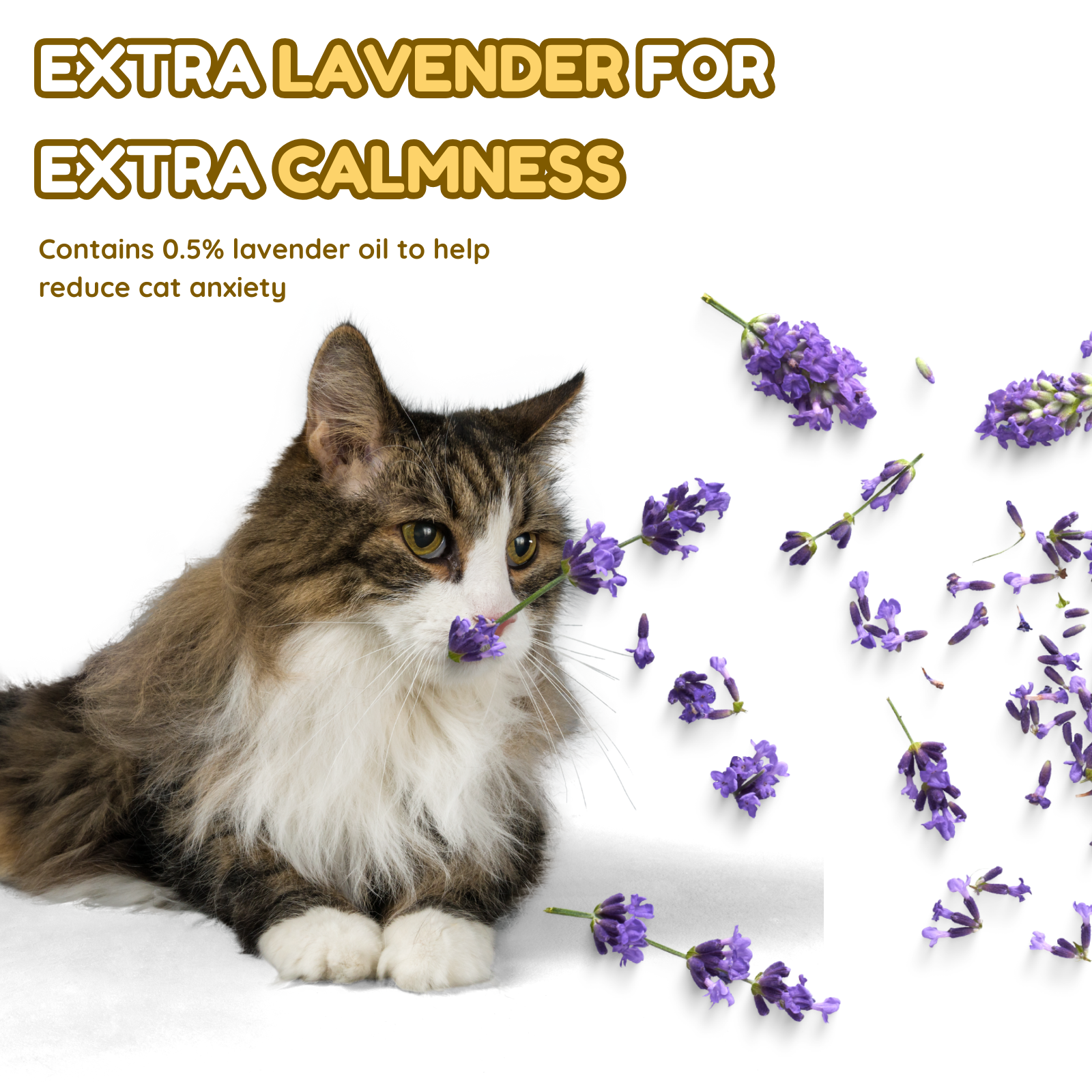 Fatty™ Cat Zen Patch