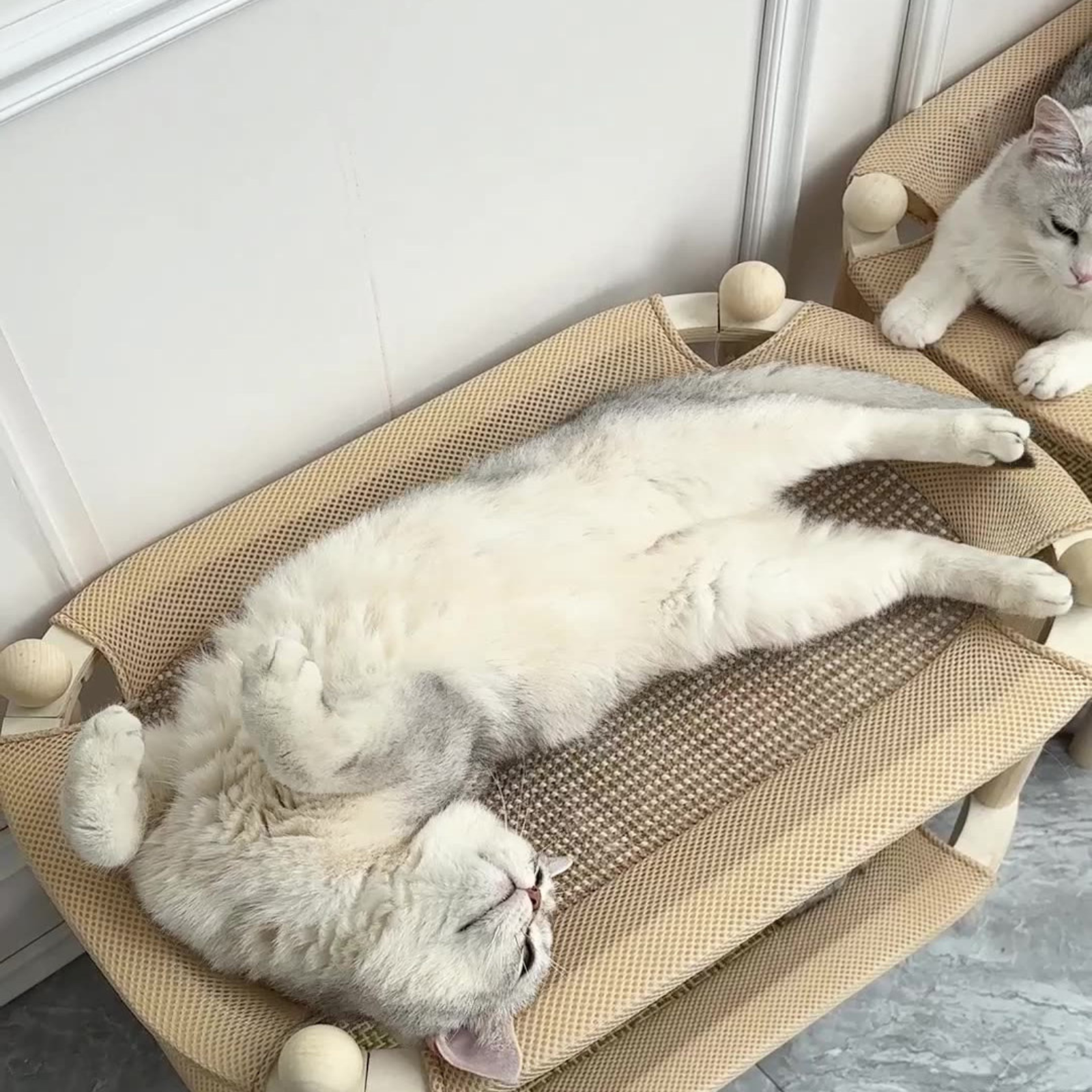 Fatty™ Cat Hammock Lounger