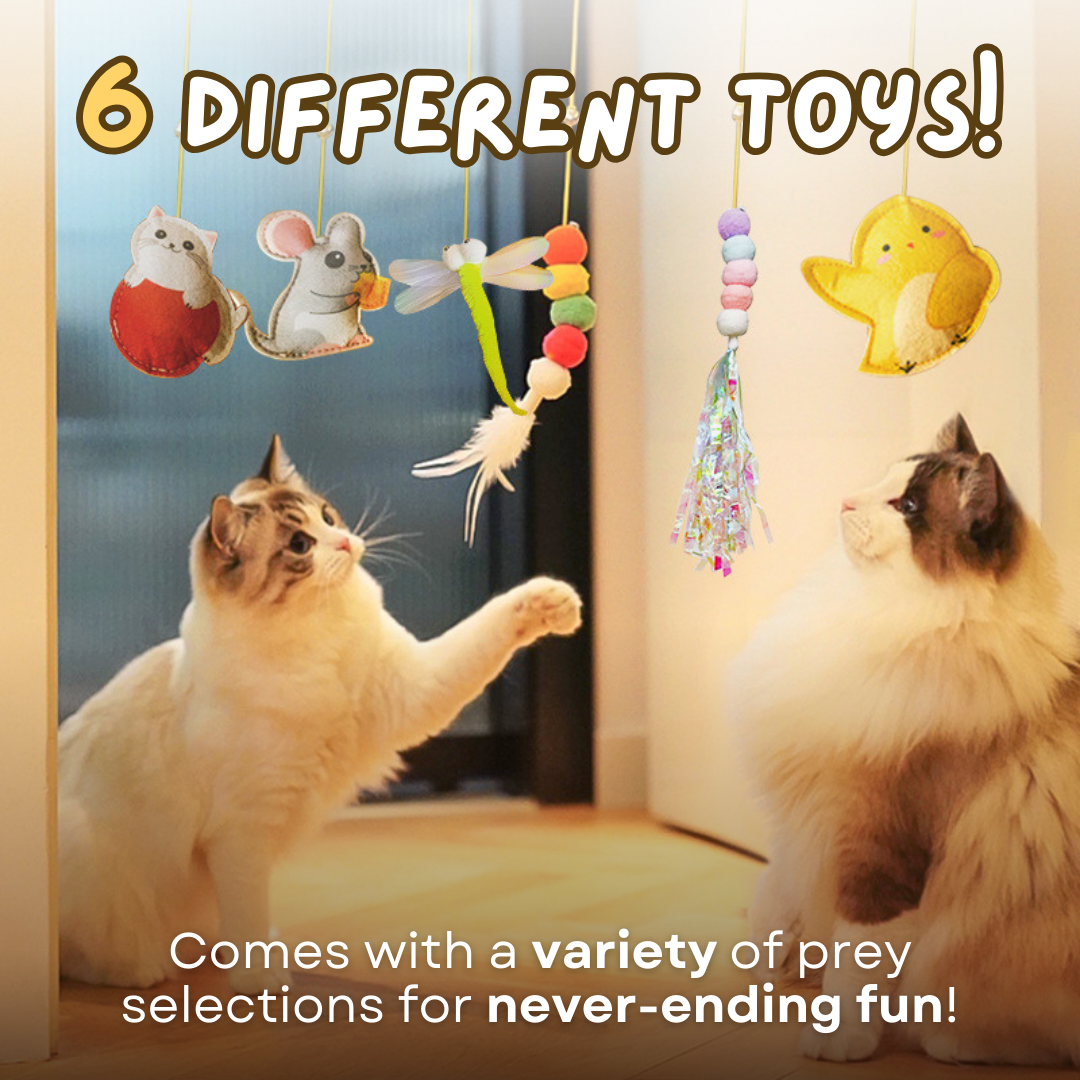 Fatty™ Dangling Cat Toy Set (6 PCS)