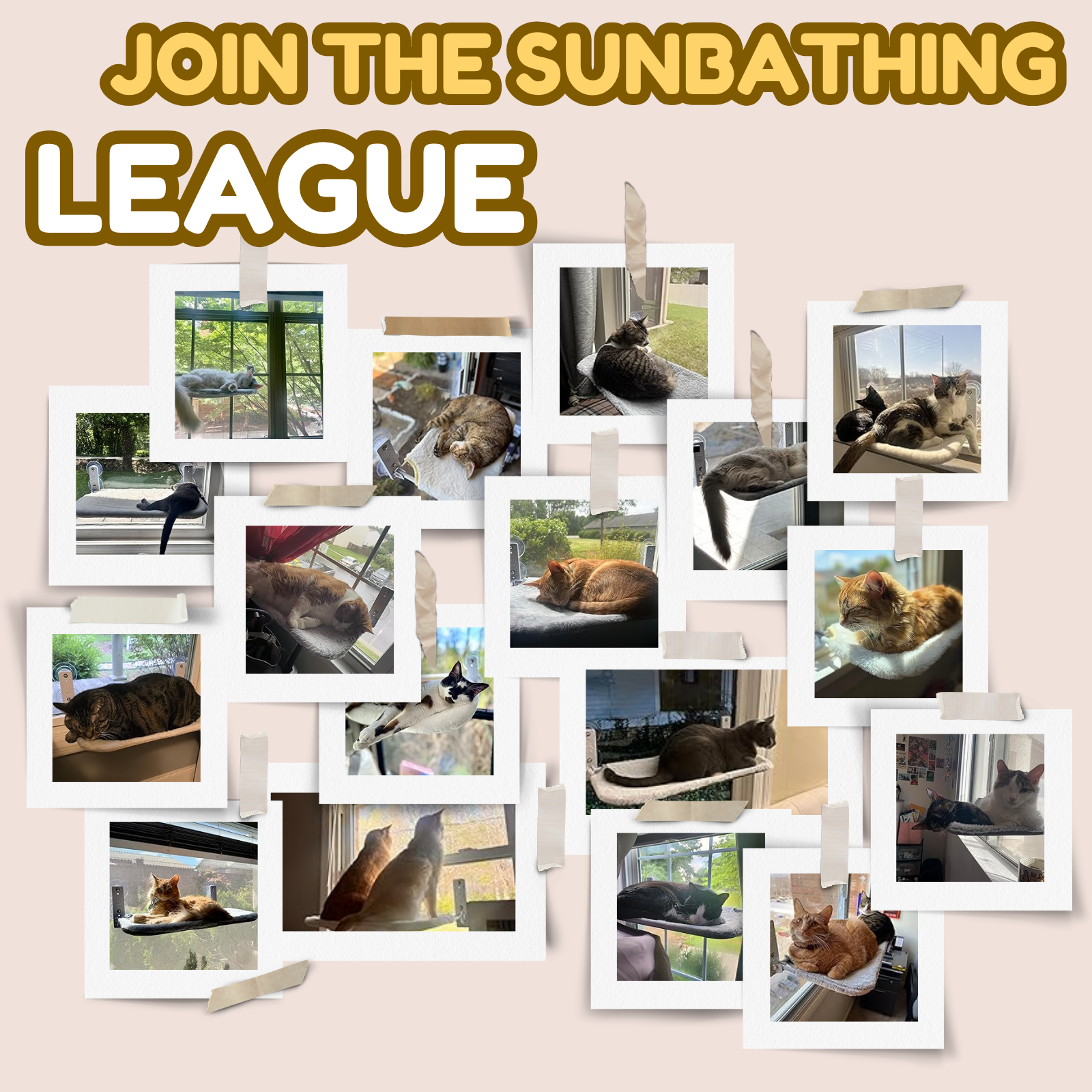 Fatty™ Foldable Cat Hammock