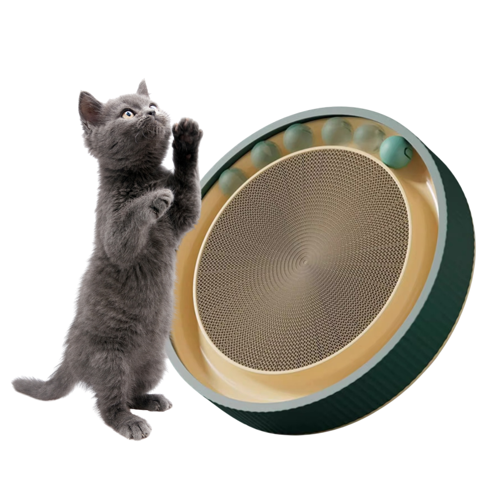 Fatty™ Cat Spinpad