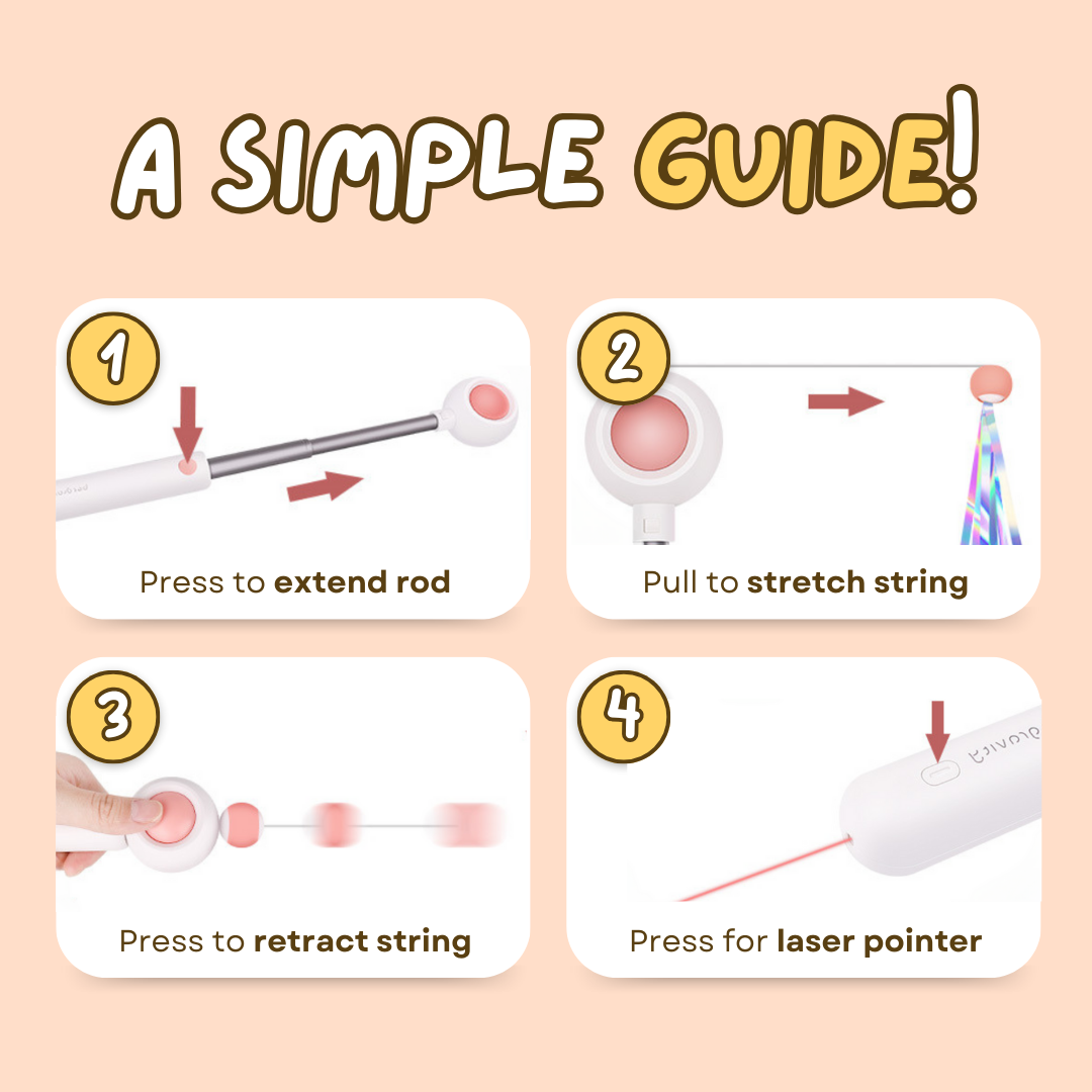 Fatty™ Dashing Laser Toy