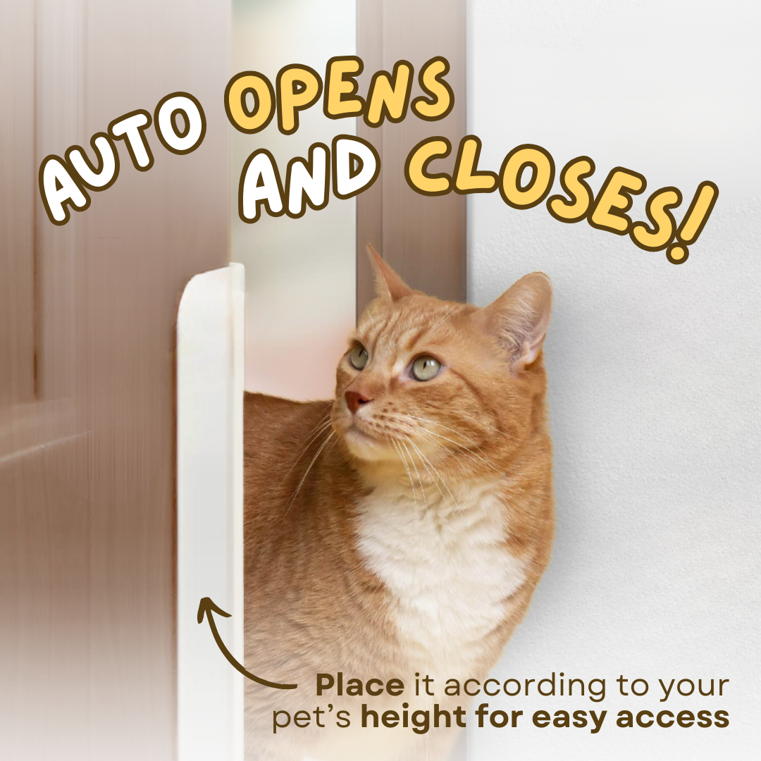 Fatty™ Auto Door Opener